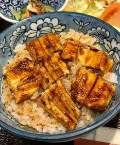 もみじの木
