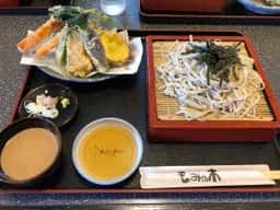 もみの木