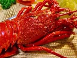 西伊豆町うぐす温泉 四季の里 まきば