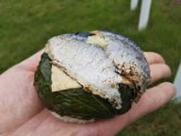 うめもり 橿原神宮店