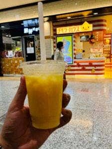 FRUIT GARDEN 山口果物 エキマルシェ新大阪