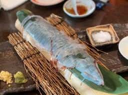 神楽坂 イカセンター