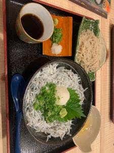 ここうみ食堂