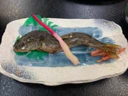 加仁湯