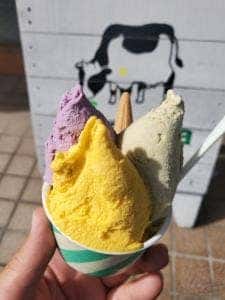 ジェラテリア ズッカ