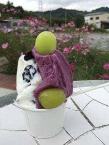 ソルベッチdoうきは