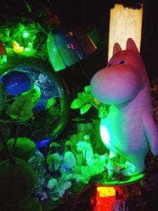 夜光虫