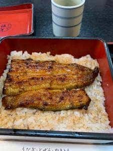 鰻大野