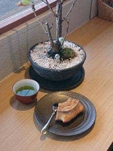 HARE 時々 OCHA