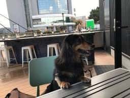 グッドスプーン 高の原テラス店