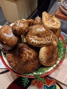 懐石 小室