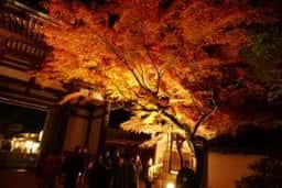 近江もーれつや ほたるの里 石山寺寺前浪漫店