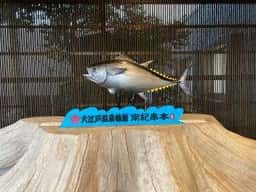 大江戸温泉物語 南紀串本