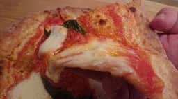 CRITTERS PIZZA