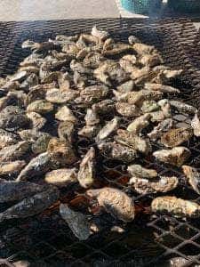 浜英水産