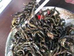 焼食のくろちゃん