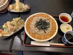 松の木
