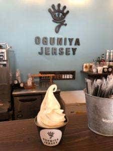 OGUNIYA JERSEY 道の駅小国