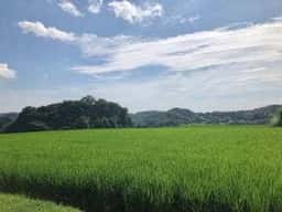 ピザレストラン 西山牧場