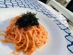 アルボル