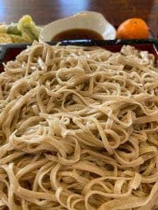 藤の家