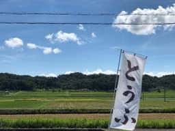 大和田とうふ店