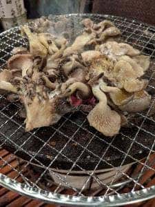 台風倶楽部 Pousse Cafe