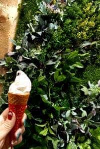 カフェブリッコ カインズホーム
