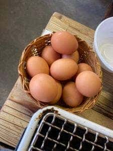 コケコッコー共和国 山の駅よって亭