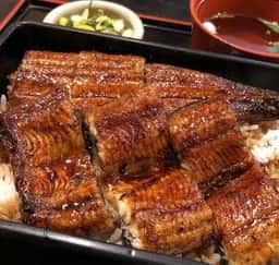 うなぎ料理うな東
