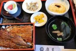 うなぎの康生