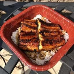 活け活け魚〜魚〜