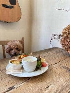 moom cafe
