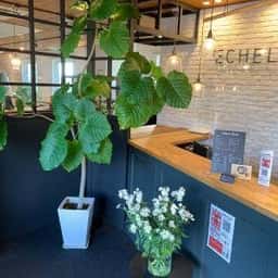 ECHEL 石内ペノン