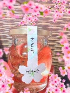 ミールミィ 三条本店