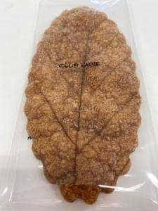 クラブハリエ B-studio 名古屋高島屋店