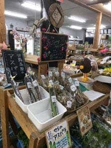 四季園にしおおた