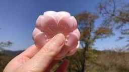 和み処 みのり屋