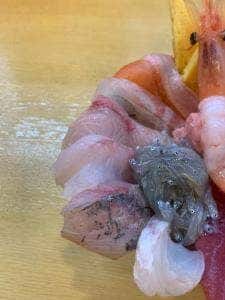 海商寿司