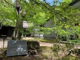 forest inn BORN