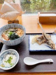 レストラン エアポートやくしま