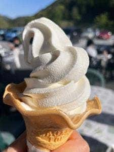 源流レストラン 道の駅こすげ