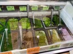 ななや sud-ouest 牧之原店