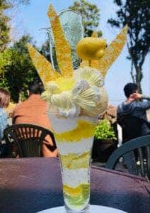 Au Fraisvert radieux