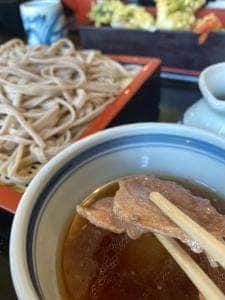 かみしな