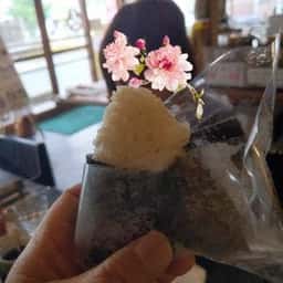 銀むす