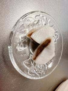 もちっ小屋 でん