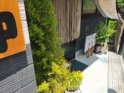道頓