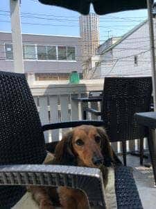 溶岩焼肉 十一 中目黒店