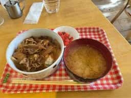 樫の木